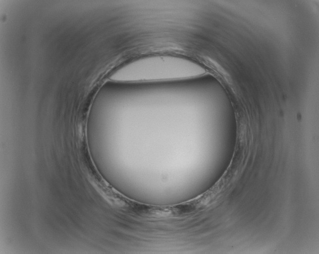 X0000062870405200601131446