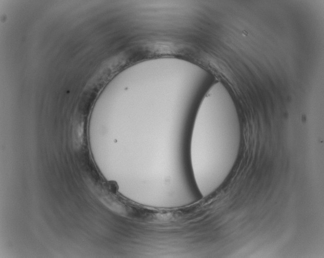 X0000062870406200601131446