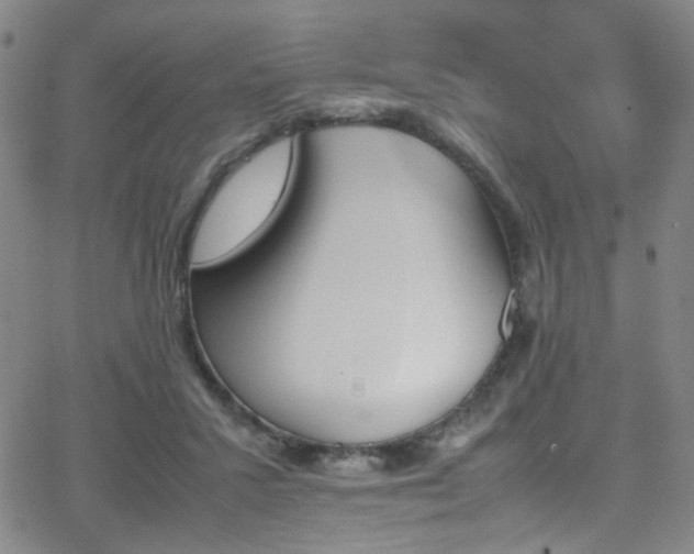 X0000062870407200601131446