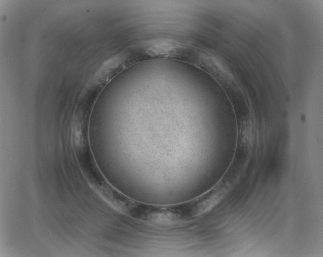 X0000062870408200601131446