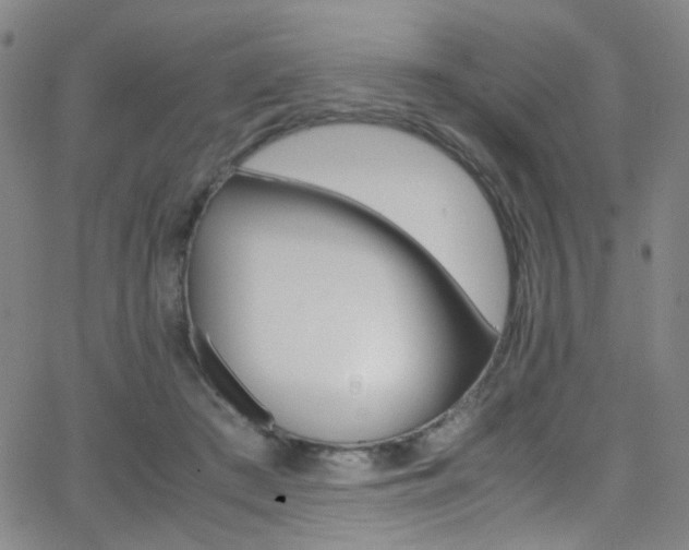 X0000062870409200601131446