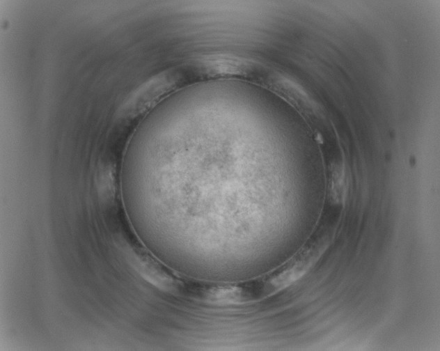 X0000062870410200601131446