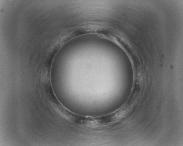 X0000062870411200601131446