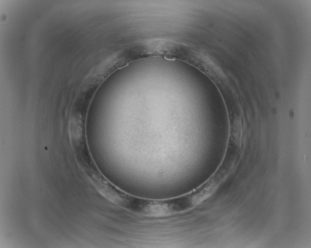 X0000062870413200601131446