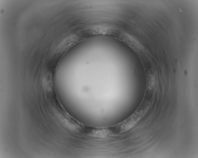 X0000062870414200601131446