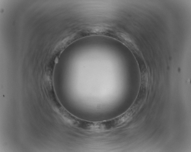 X0000062870415200601131446