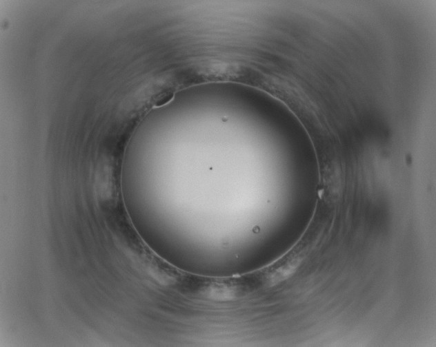 X0000062870416200601131446