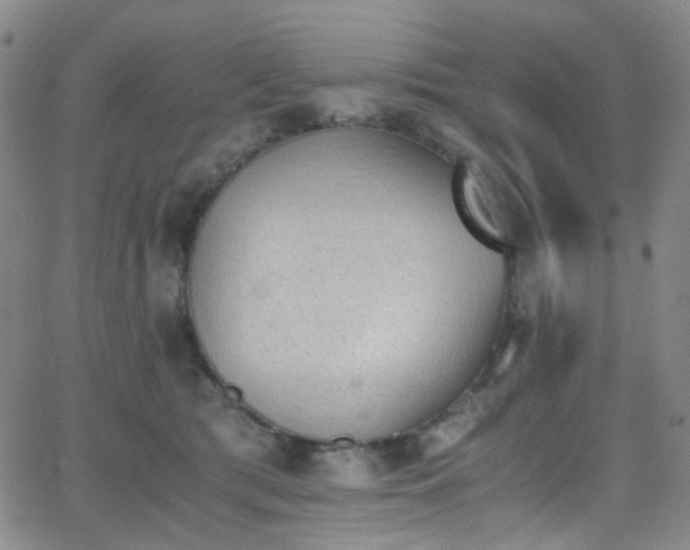 X0000062870417200601131446