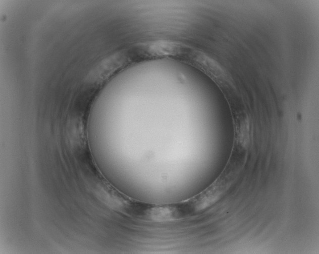 X0000062870418200601131446