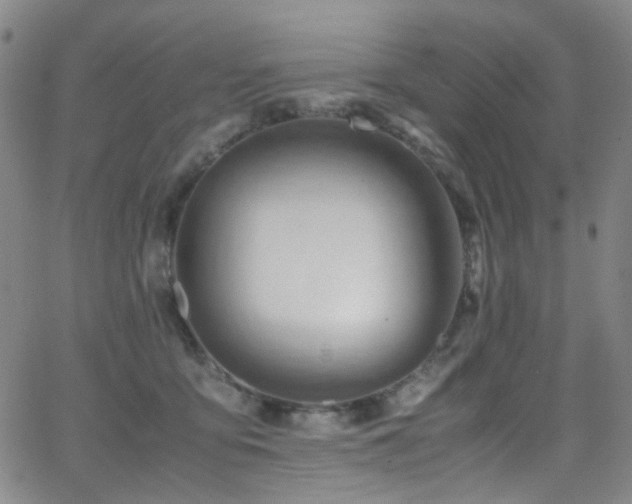 X0000062870419200601131446