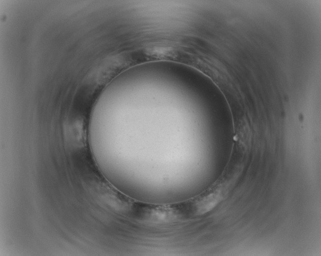 X0000062870420200601131446