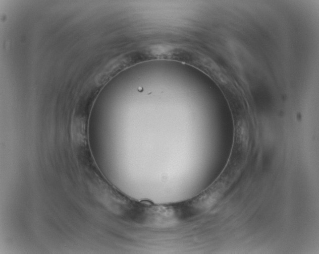 X0000062870421200601131446