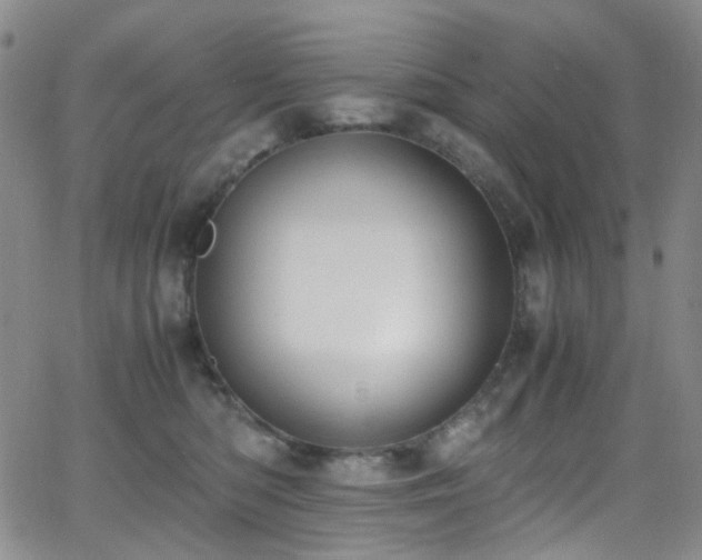 X0000062870422200601131446