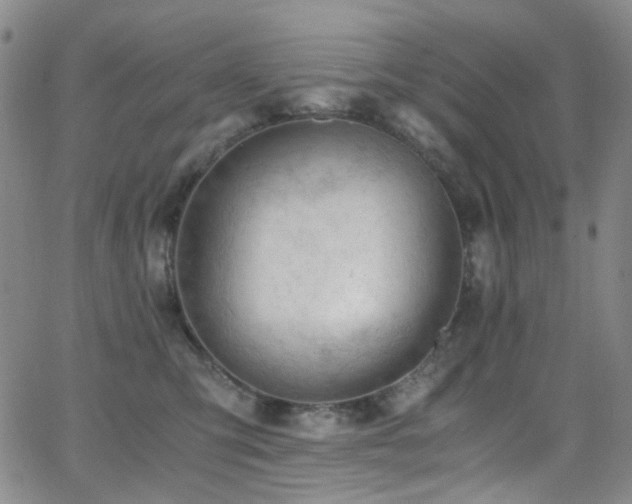 X0000062870423200601131446