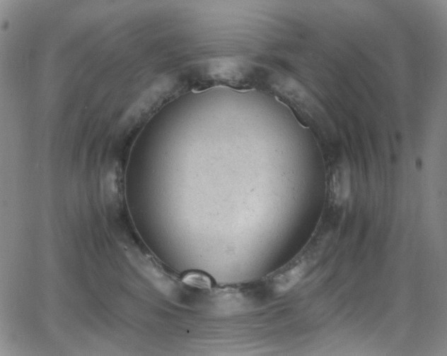 X0000062870424200601131446