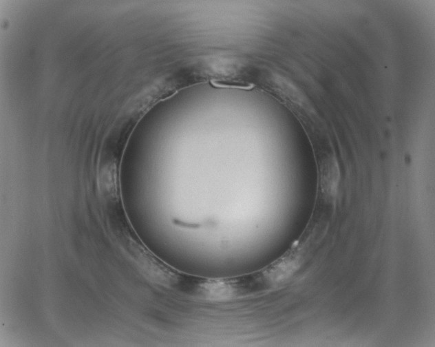 X0000062870425200601131446