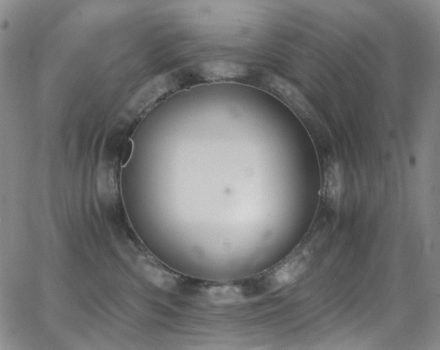 X0000062870426200601131446