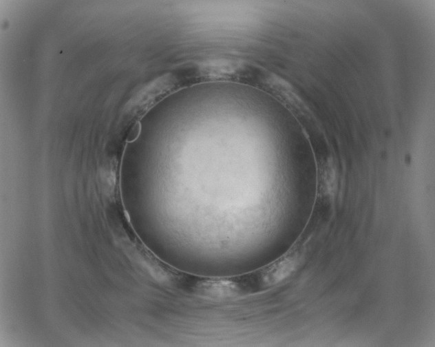 X0000062870427200601131446