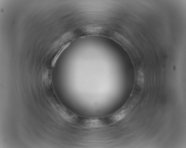 X0000062870428200601131446