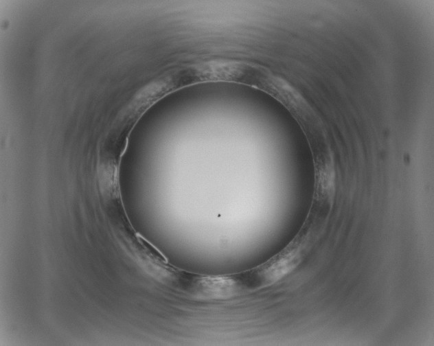 X0000062870429200601131446