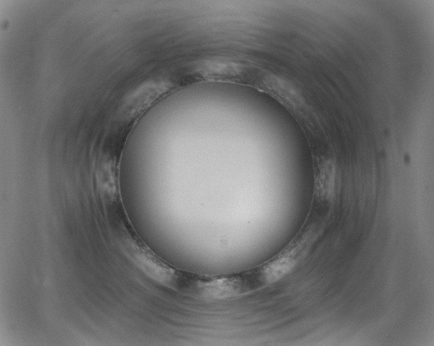 X0000062870430200601131446