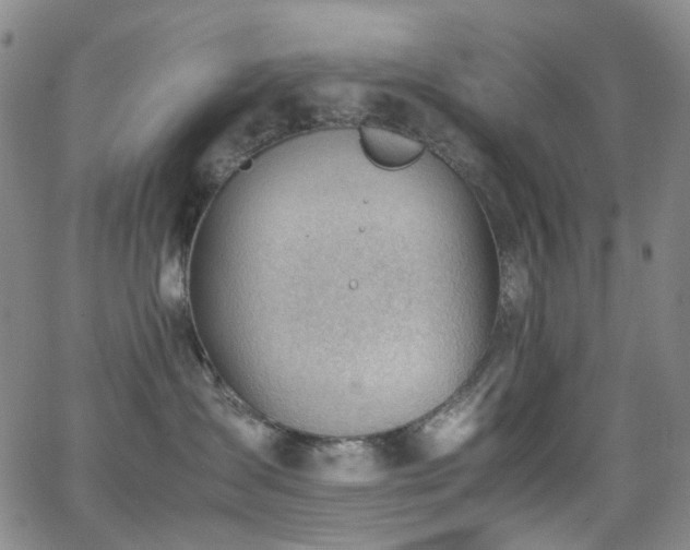 X0000062870431200601131446