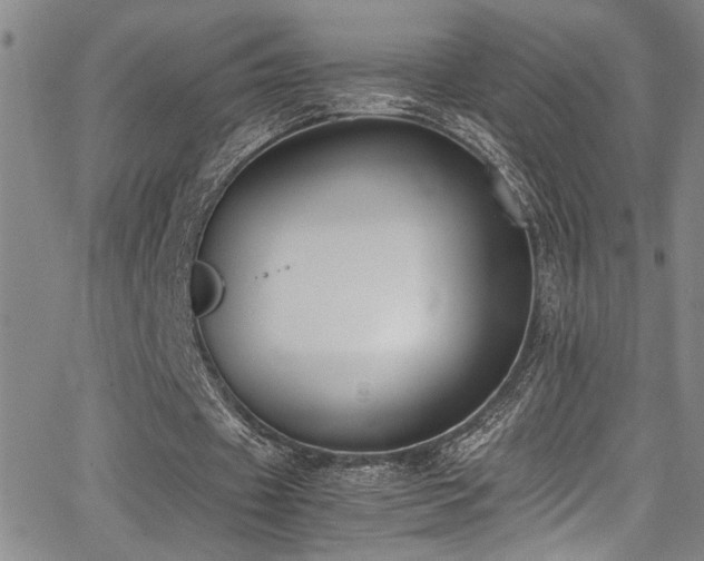 X0000062870433200601131445