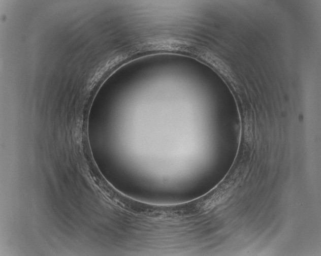 X0000062870434200601131445