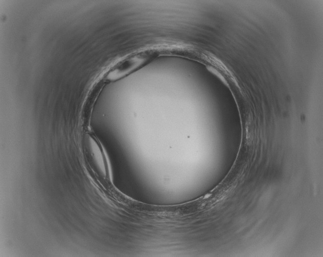 X0000062870436200601131445