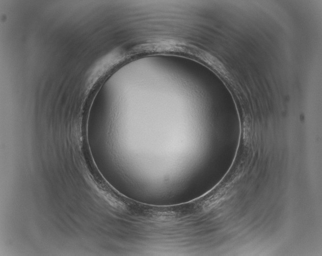 X0000062870438200601131445