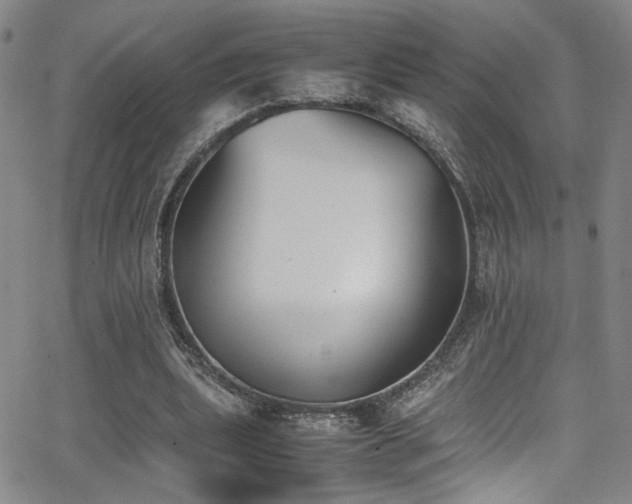 X0000062870439200601131445