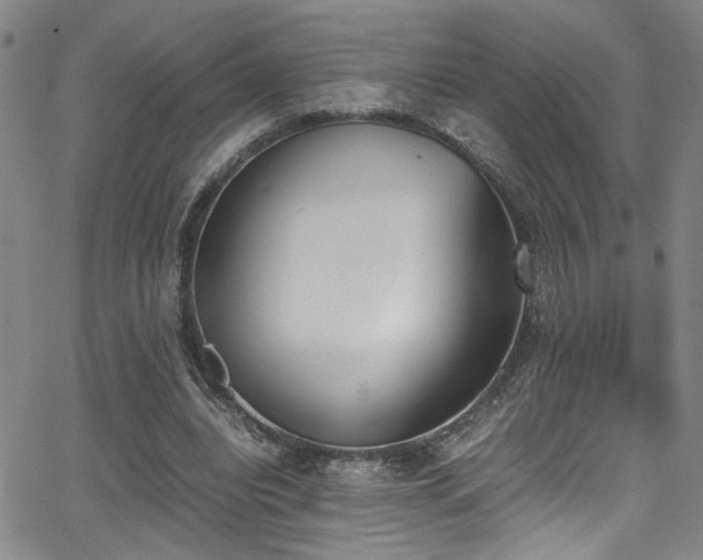 X0000062870440200601131445