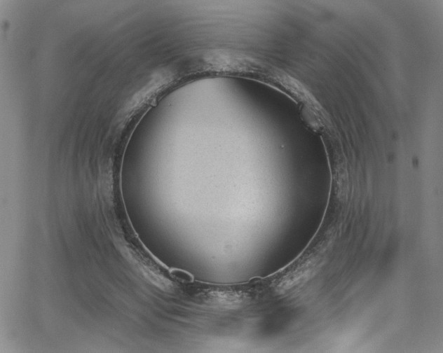 X0000062870442200601131445