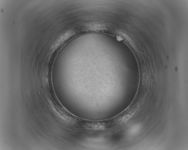 X0000062870443200601131445