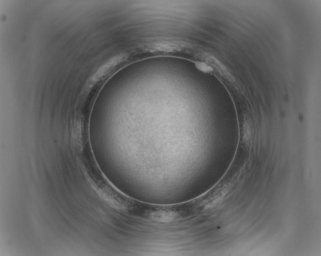 X0000062870444200601131445