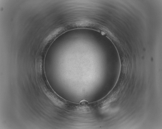 X0000062870446200601131445