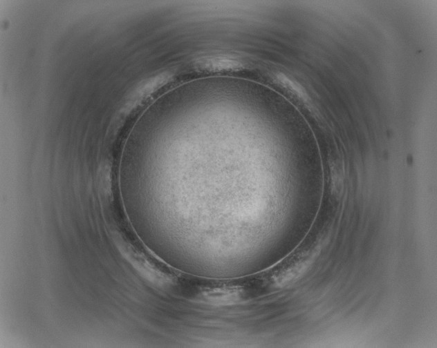 X0000062870447200601131445