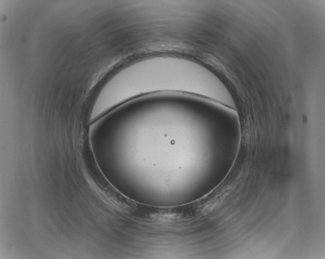 X0000062870448200601131445