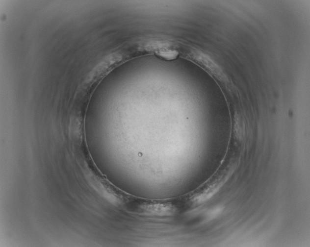 X0000062870449200601131445