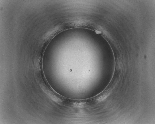 X0000062870450200601131445