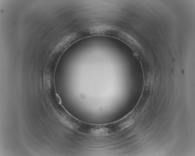 X0000062870452200601131445