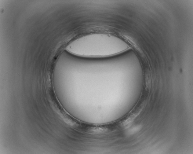 X0000062870453200601131446