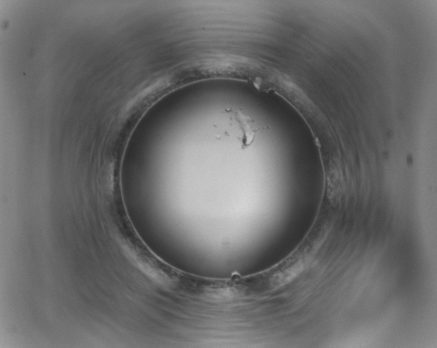 X0000062870454200601131446