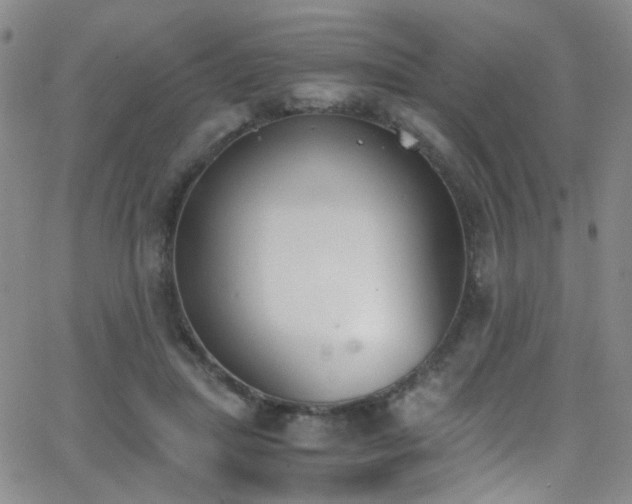 X0000062870455200601131446