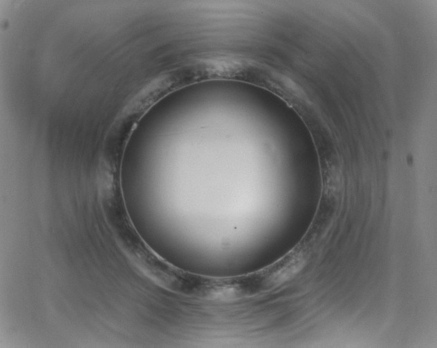 X0000062870456200601131446