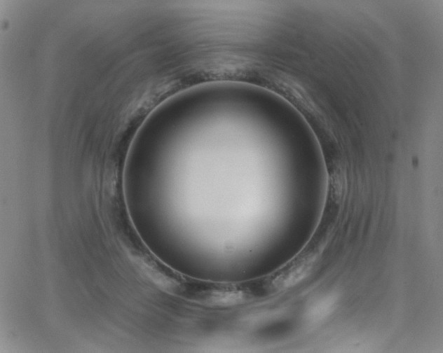 X0000062870458200601131446