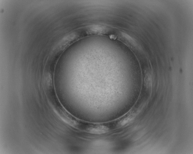 X0000062870459200601131446