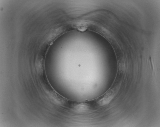 X0000062870460200601131446