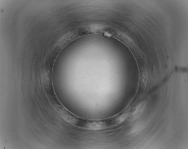 X0000062870461200601131446