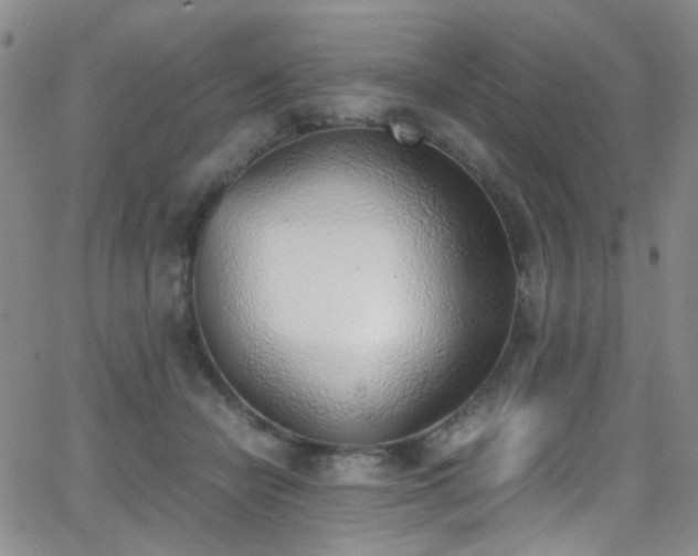 X0000062870462200601131446